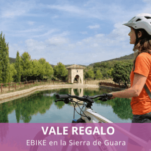 ALQUILER BICICLETAS ELECTRICAS